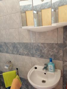 un lavandino in bagno con una bottiglia di sapone di Apartments Vitae a Pola (Pula)