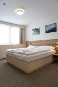 ein Schlafzimmer mit einem großen Bett in einem Zimmer in der Unterkunft Hotel Monínec - Depandance Nová Javorka in Moninec