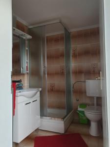 a bathroom with a shower and a sink and a toilet at Apartmani Pejo in Gostinjac