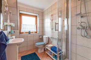 a bathroom with a toilet and a sink and a shower at Willa Natura in Gliczarów +30 photos