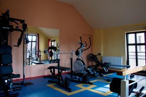 Fitness centrum a/nebo fitness zařízení v ubytování Penzion Haydnuv Dum