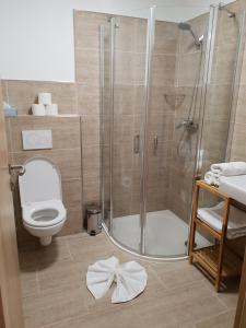 un bagno con doccia e WC di Amalia Haus a Tux