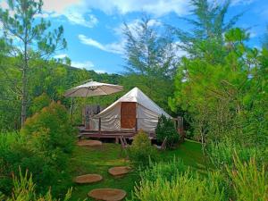 巴衝的住宿－The Birder's Lodge Khao Yai，草上带雨伞的白色帐篷