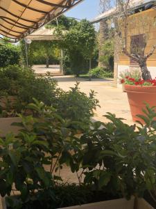 Giardino di Albergo Conca D'Oro
