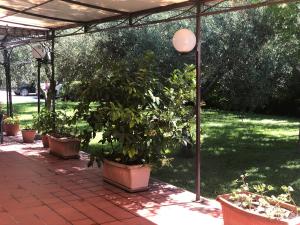 Giardino di Albergo Conca D'Oro
