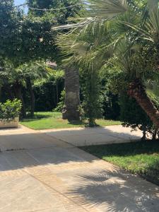 Giardino di Albergo Conca D'Oro