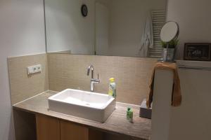 a bathroom counter with a sink and a mirror at Großzügiges Zimmer mit Badezimmer in Rheinwohnung in Cologne