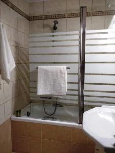 een badkamer met een douche, een handdoek en een wastafel bij Sior Dionysios in Argostoli