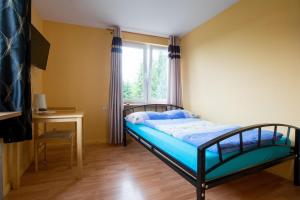 ソリナにあるNoclegi pod lasem Solina 20の小さなベッドルーム(ベッド1台、窓付)