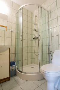 ソリナにあるNoclegi pod lasem Solina 20のバスルーム(シャワー、トイレ付)
