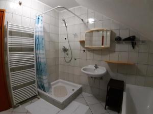 a bathroom with a shower and a sink at House Osana in Grabovac
