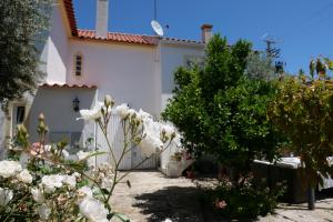 une maison blanche avec des fleurs blanches dans la cour dans l'établissement Moradia Albertina, à Salgueira