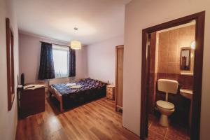 a bedroom with a bed and a toilet and a sink at Pensiunea Cosău in Ocna Şugatag