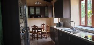 a kitchen with a sink and a table with chairs at Finca San Antonio in Los Realejos