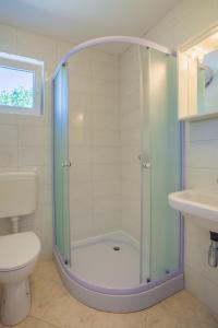 a bathroom with a shower with a toilet and a sink at Apartments Dandić in Orlec