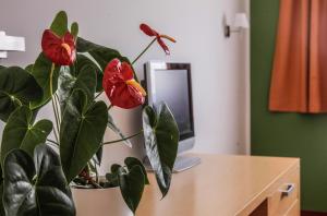 Μια τηλεόραση ή/και κέντρο ψυχαγωγίας στο Hotel Veter