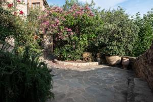 Zahrada ubytování PositiveSpace Olive Tree