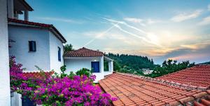 Fotografie z fotogalerie ubytování Hotel Elena Syvota v destinaci Sivota + 50 fotografií