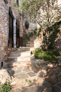 Fotografie z fotogalerie ubytování PositiveSpace Olive Tree v destinaci Lévktron