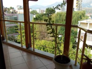 Balkón nebo terasa v ubytování Hotel Bleta