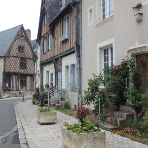 una calle en una ciudad con casas y flores en La Pierre qui Parle en Luynes