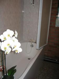 a bath tub with a shower with white flowers in it at La Maison D'Adam in Hellemmes-Lille