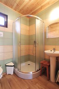 a shower in a bathroom with a sink at Trzy Czajki Domki letniskowe in Wicie