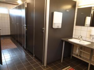 a bathroom with a sink and a bathroom stall at Mora Life, Åmåsängsgården in Mora
