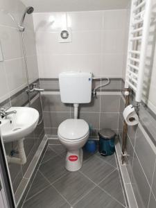 łazienka z toaletą i umywalką w obiekcie Diva Kompani Rooms w mieście Berowo