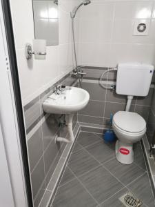 uma casa de banho com um WC e um lavatório em Diva Kompani Rooms em Berovo