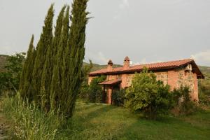 une vieille maison en briques avec un grand arbre à côté dans l'établissement Villa Demeter, à Selçuk