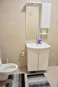 a bathroom with a sink and a toilet and a mirror at Relax Teslić in Teslić