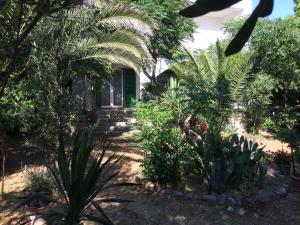 a garden with palm trees and plants in front of a house at Apartments MiaMaja in Novalja