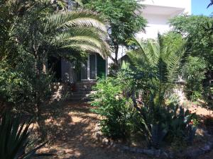 a house with palm trees in front of a yard at Apartments MiaMaja in Novalja