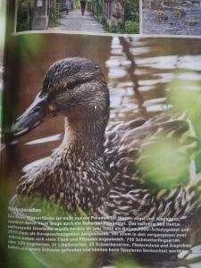 Zwierzęta w domu wakacyjnym lub w pobliżu