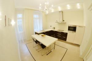 Kuchyňa alebo kuchynka v ubytovaní Apartma Premium