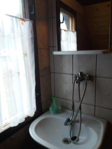 een wastafel in de badkamer met een kraan en een spiegel bij Chata Jedľoviny Martin in Martin +31 foto's