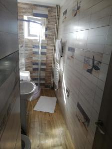 コンスタンツァにあるApartament Roxiの小さなバスルーム(洗面台、トイレ付)