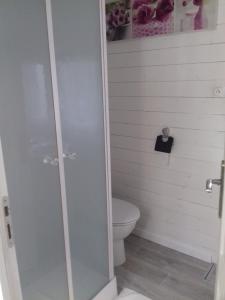 uma casa de banho com um WC e uma cabina de duche em vidro. em gite de beletou em Jourgnac