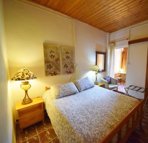 a bedroom with a bed and a lamp on a table at Christys Palace Hotel in Pedoulas