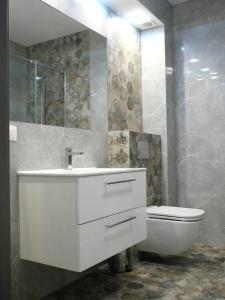 a bathroom with a white sink and a toilet at Gardenia Mare Baltic Dziwnów in Dziwnów