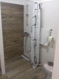 a bathroom with a shower and a toilet at House Marija island Krk in Punat +29 photos