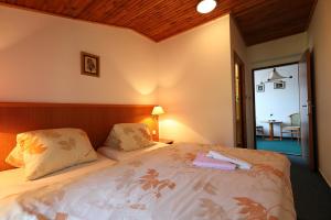 Gallery image of Pension Venus in Harrachov