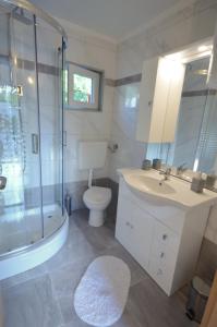 ein Badezimmer mit Toilette, Waschbecken und Dusche in der Unterkunft Vacation home Vesna in Bribir + 24 Fotos