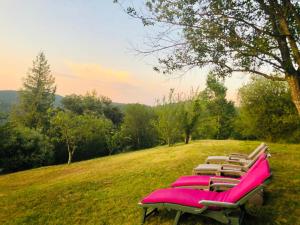 une rangée de chaises roses assises au sommet d'une colline dans l'établissement Gite de La Jasse, à Chamborigaud