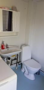 a bathroom with a white toilet and a sink at Strönhult farmhouse by the lake in Strönhult +39 photos