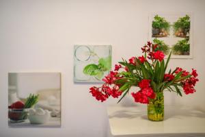 Fotografie z fotogalerie ubytování Apartment Corto v destinaci Petrcane