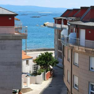 Táj az apartman közelében