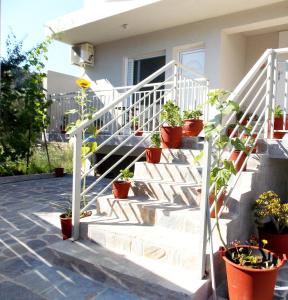 a group of potted plants on the stairs of a house at ERA Studios in Skiathos