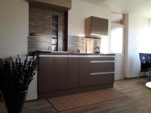 Kuchyň nebo kuchyňský kout v ubytování Apartman Na Horách